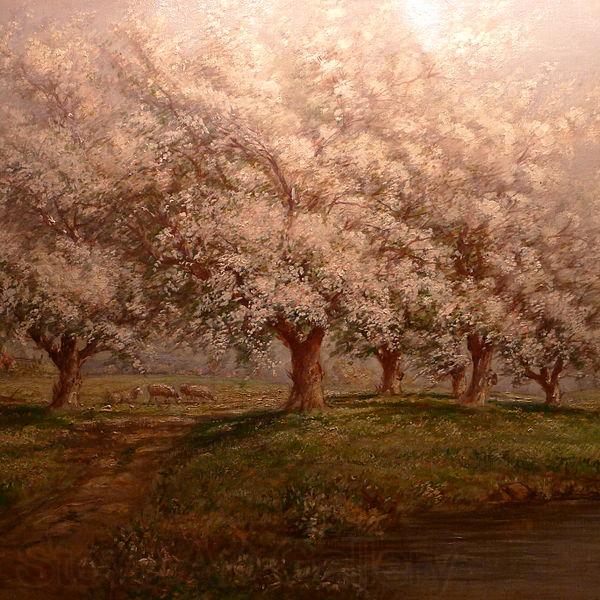 Verner Moore White Typical Verner Moore White oil painting on canvas of apple blossoms Norge oil painting art